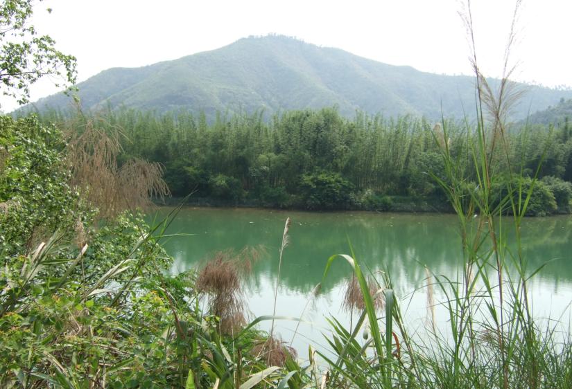 ȥʮ�����ȵ�;��