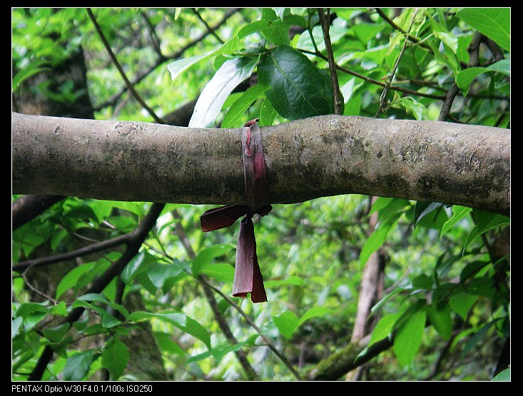 �����еı�־