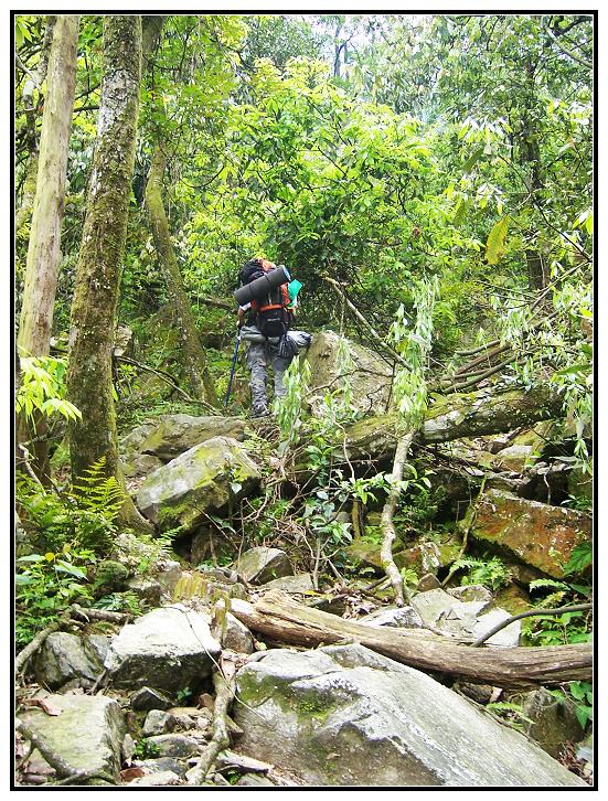 15 С�ɵı�Ӱ.jpg