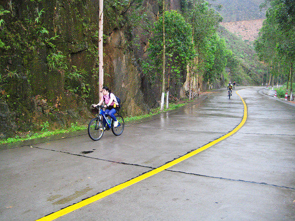 ��������̶;��