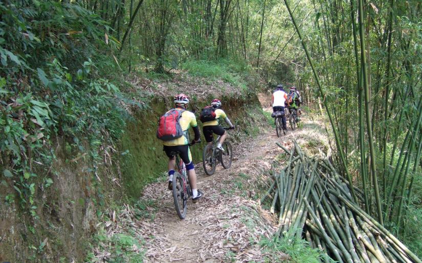 ����������