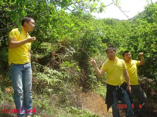 �Լ����ַ�����ʳ