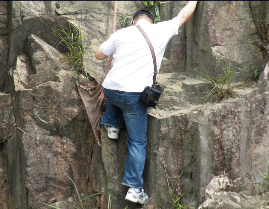 �ʴ����Ӱ����