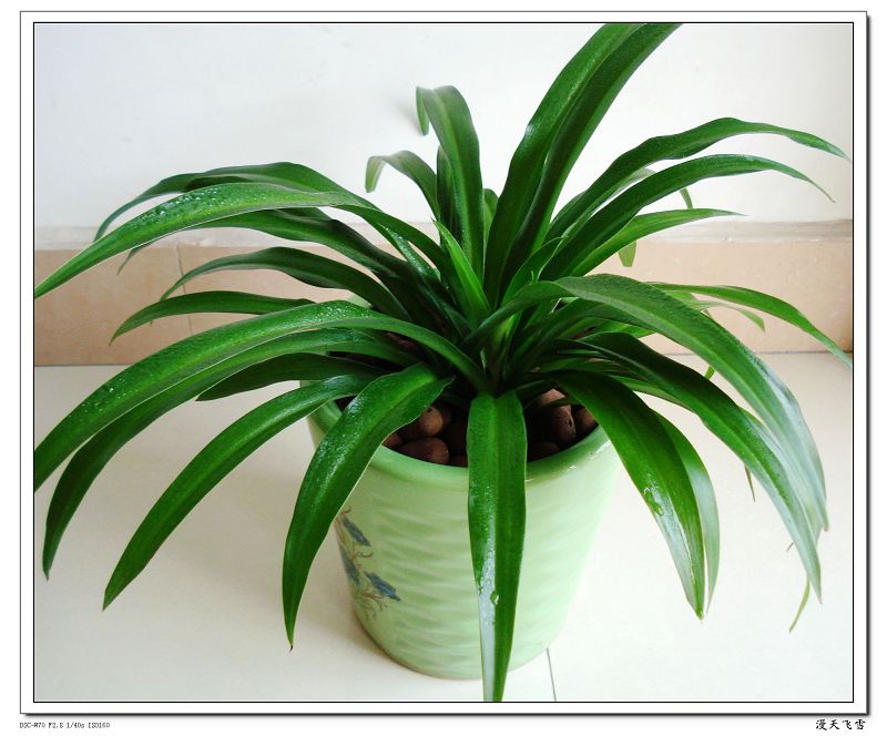 ��һ��Ҳ�ǵ���!