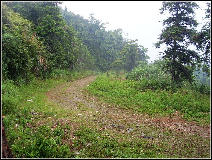 �ؿ��񷿵�·����ôҲ��������ʯ����Ӱ��..