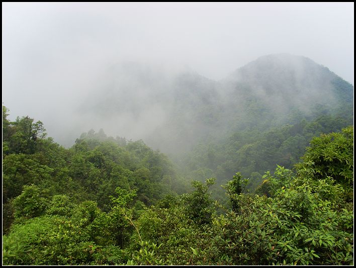 ���Ŀ�����ƽʱ�ĺúܶ�Ŷ