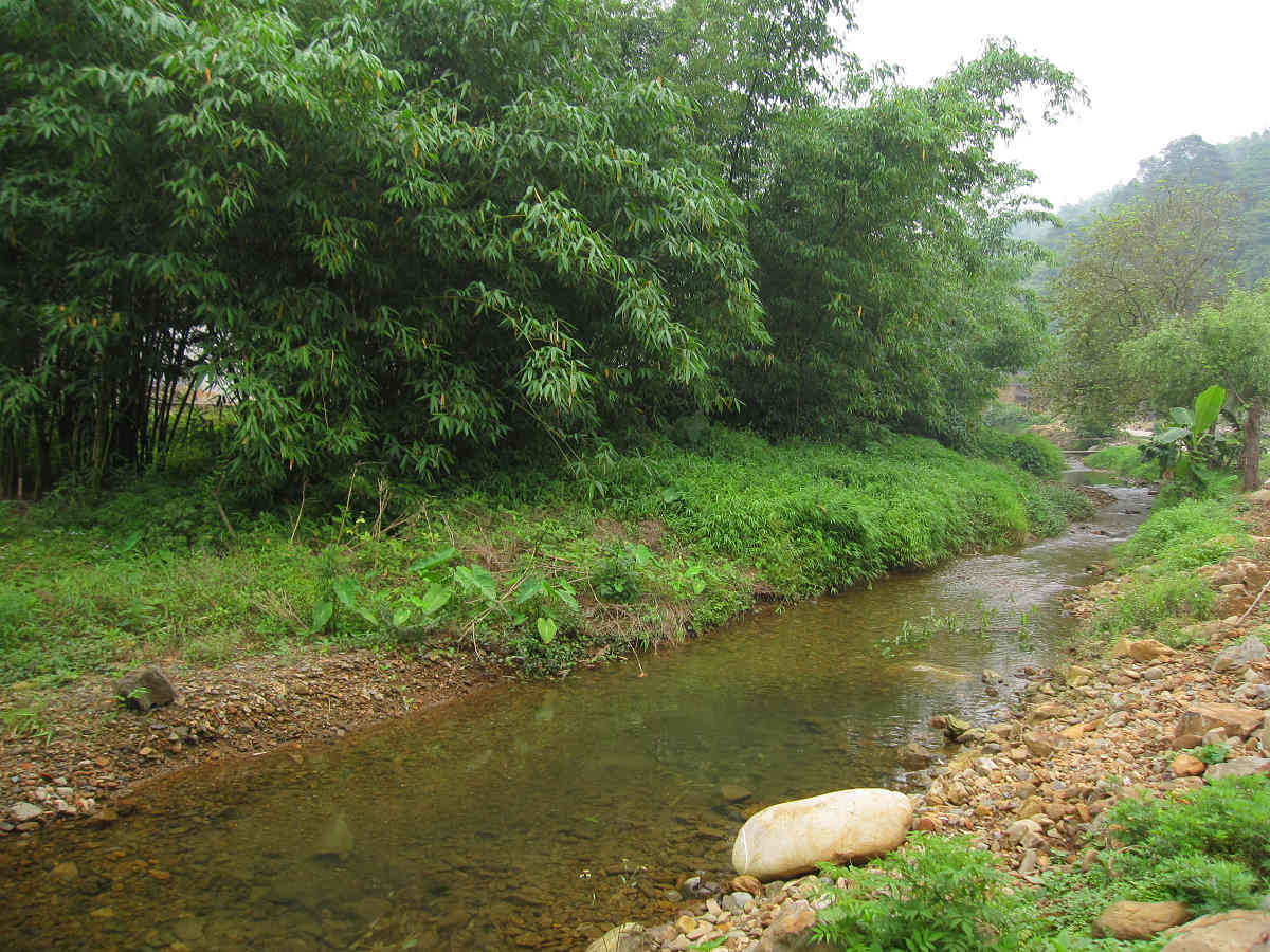 ����԰����