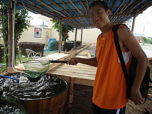 ���к���ʳ