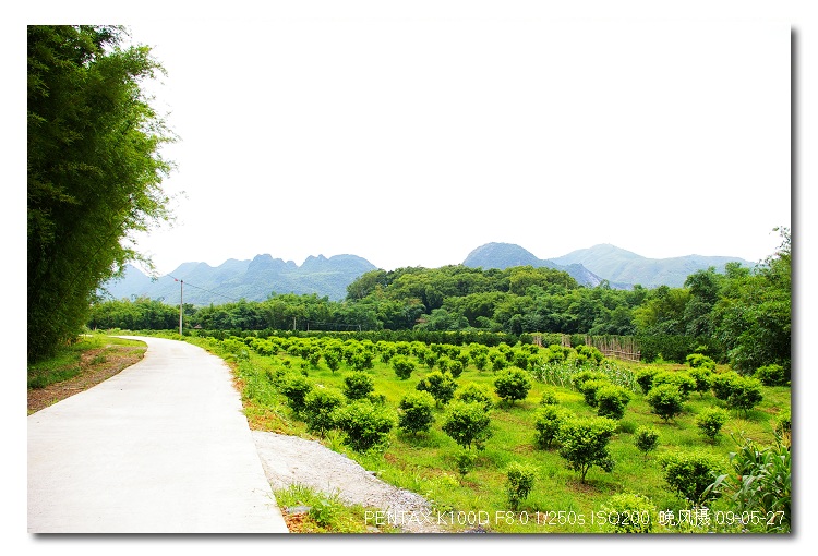 ��������ʵ�����ɾ�����