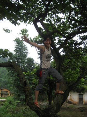 �������ǳ��ͣ�����