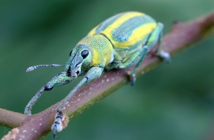 ����˭��