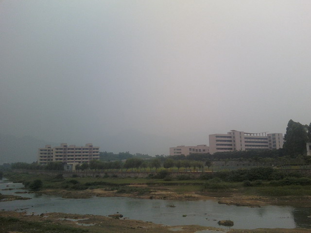 Զ���ɸ���ѧ