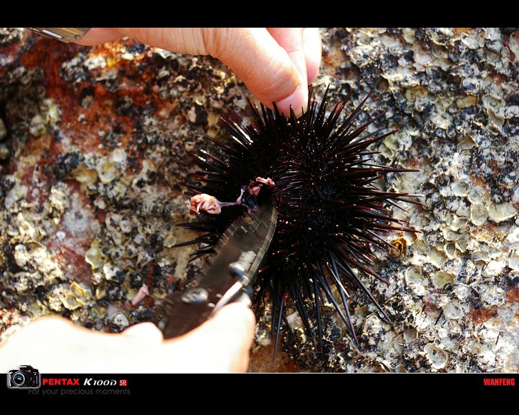 �ֳ������ʺ���,����ζ��