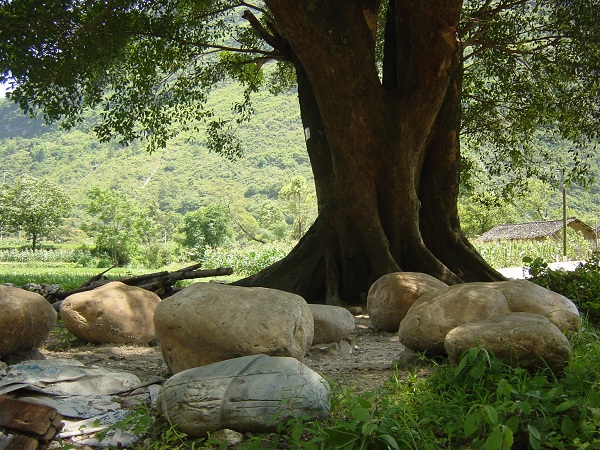 �Ӽ���Ϣ�������˽�����