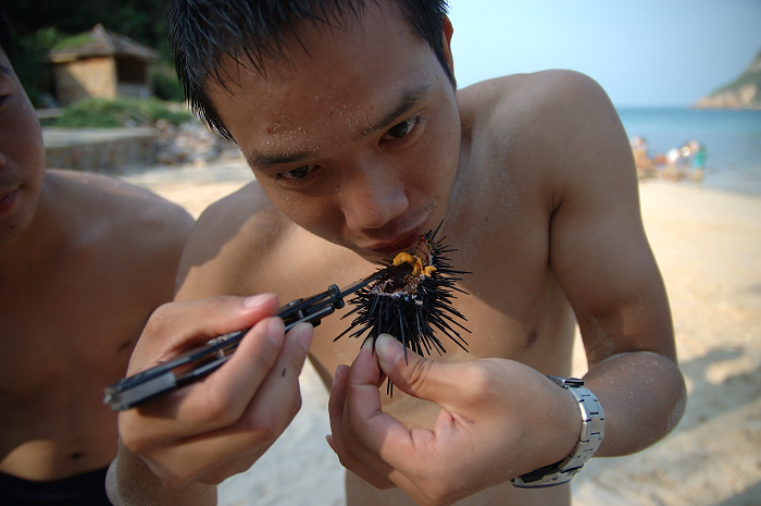 ����ʾ�������Ժ���