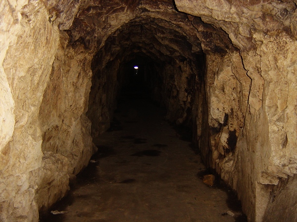 ̽�� ���淢��N�ණ��