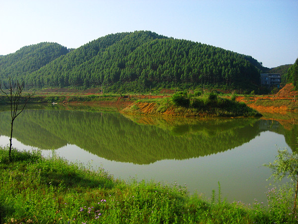 ��������;���