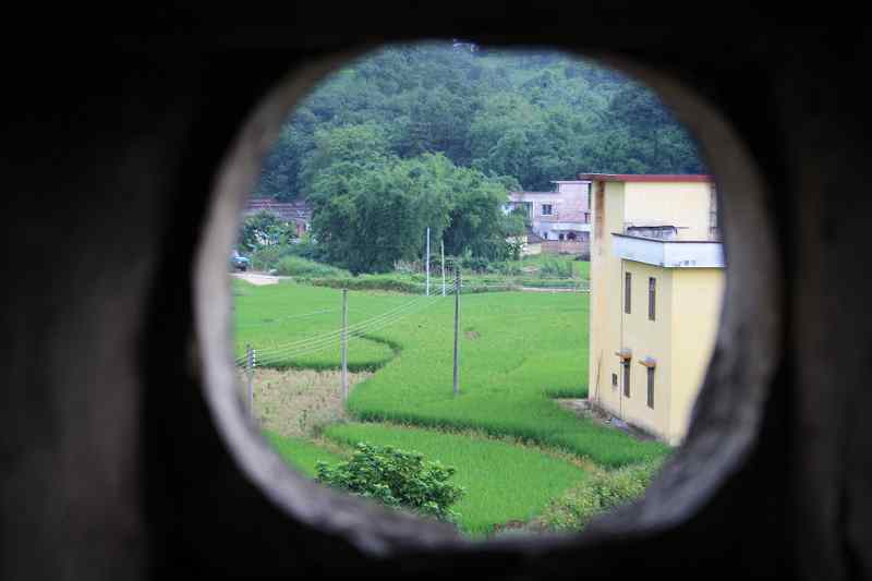 һ�ٶ�����������¥������