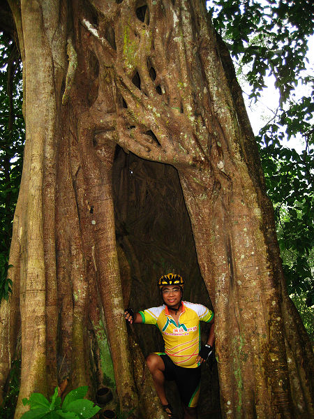 nEO_IMG_���� 334.jpg