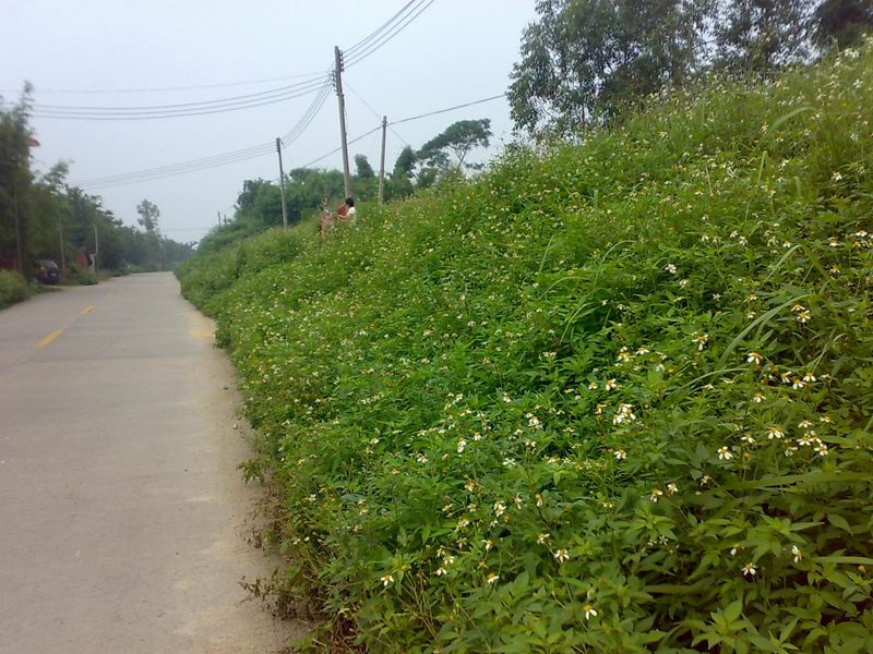 һ·�ϣ�����������Ұ�ջ�~~