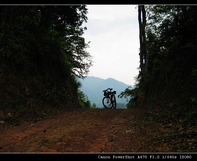 ���ڵ�����