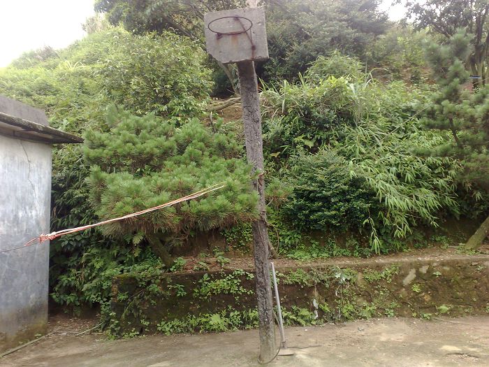 ���͵������