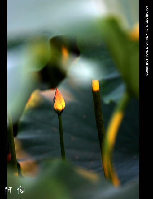 ��ת ��Ƭ 008_nEO_IMG.jpg