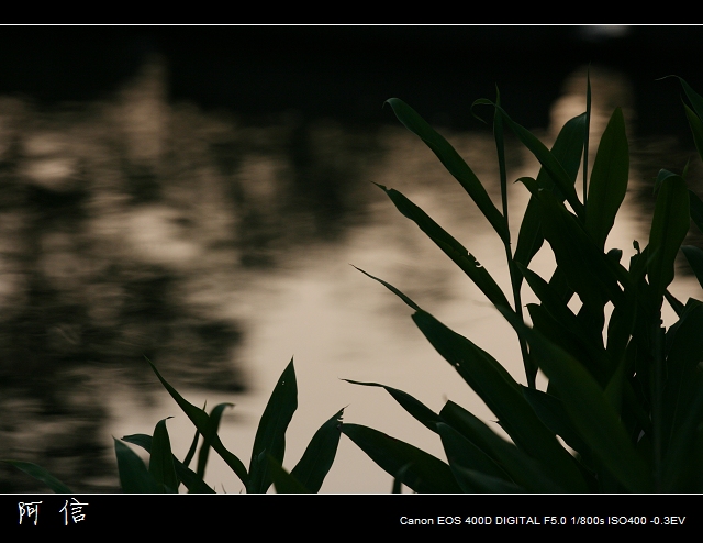 ��Ƭ 037_nEO_IMG.jpg