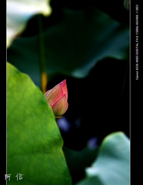 ��ת ��Ƭ 013_nEO_IMG.jpg