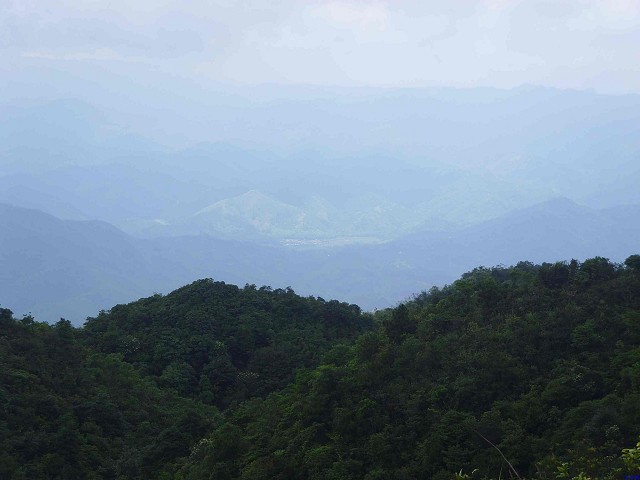 �������?