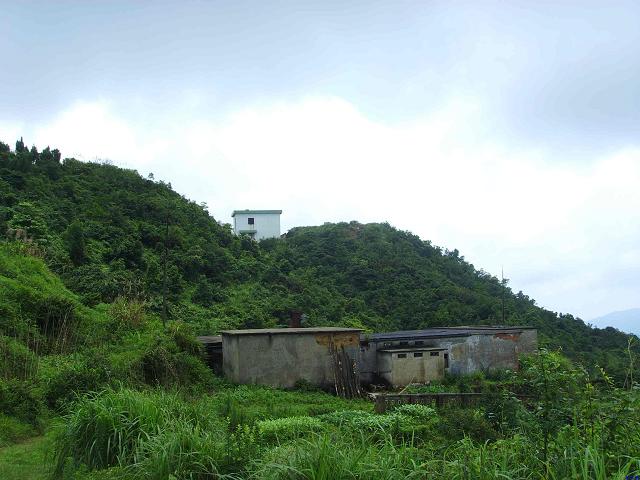 ����,�����м�����?