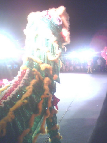 һ��ʮһ���Ů��������һͷ��ʨ�ӳ����ˡ�