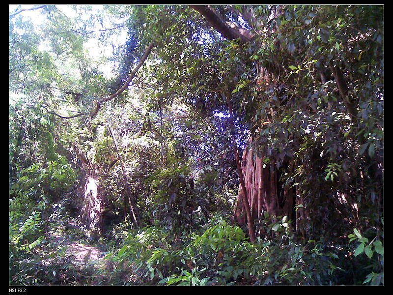 ż�����ô���