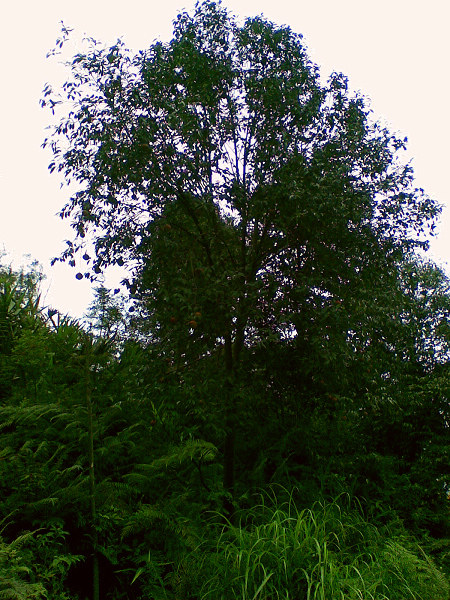 ˶��Ĺ�����������