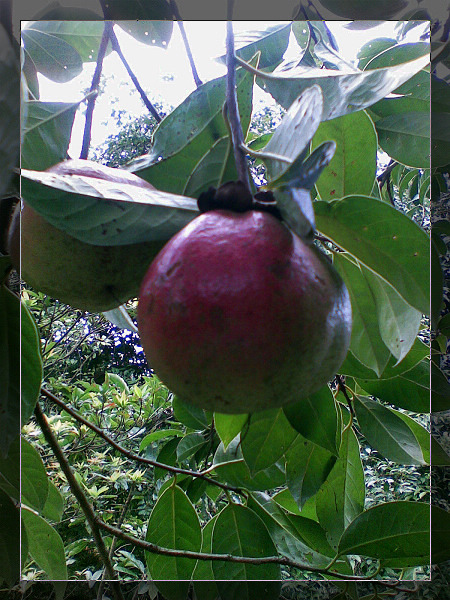 ����ϵ�߹��е��߹�