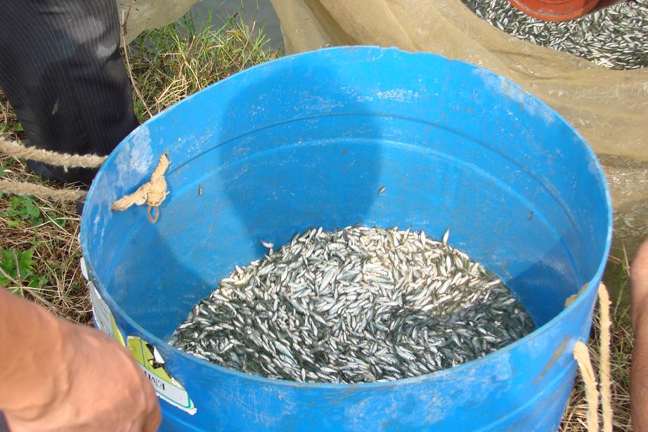 q�������� 1.JPG