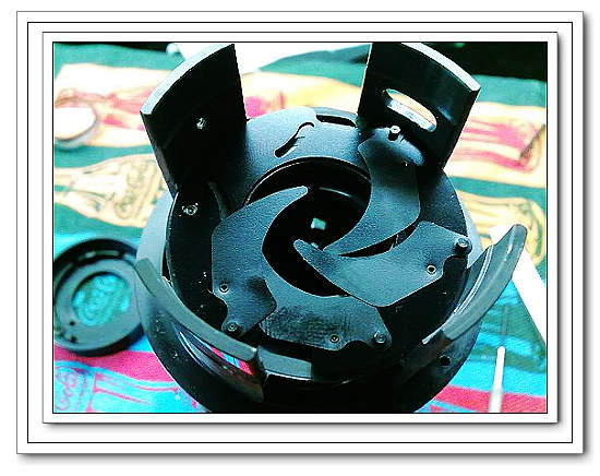 nEO_IMG_1111 (2).jpg