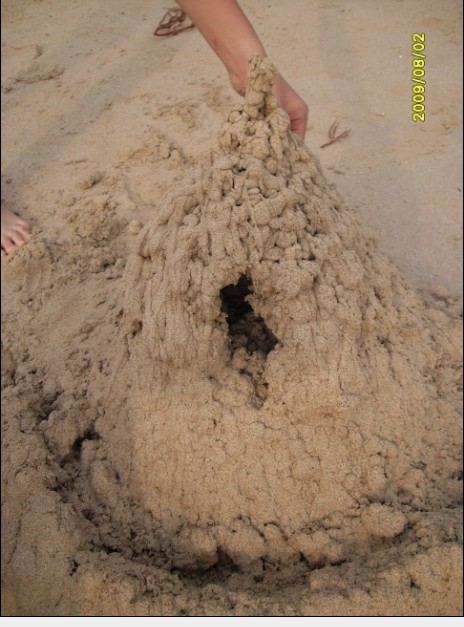 �Ǳ�����