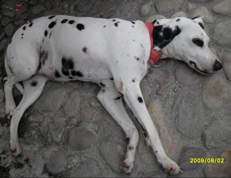 5Ԫ�����ҵù���