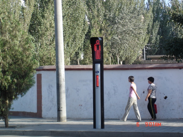 �ػ�������Ư���ĺ��̵�