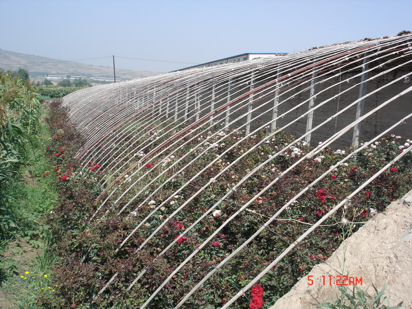 ���ĵ��¼���