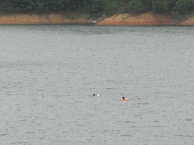 СС����,������Ҳ²������˭?