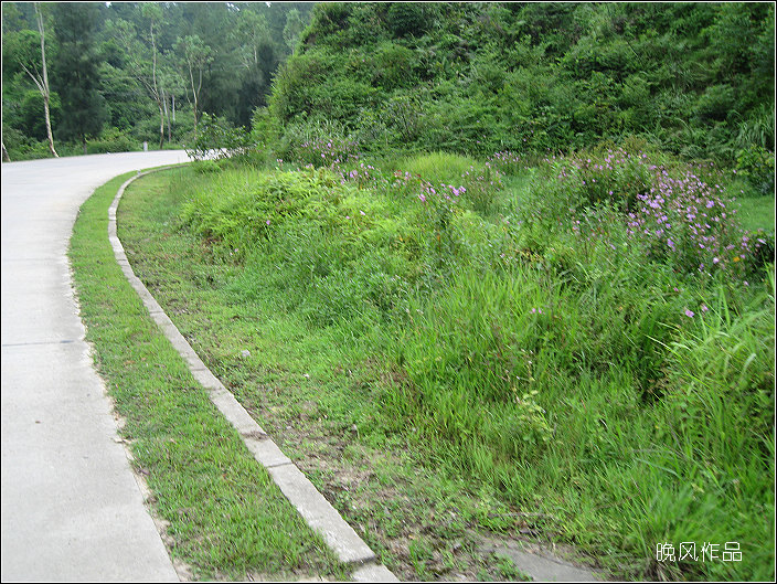 ��˵���������ֱ��������