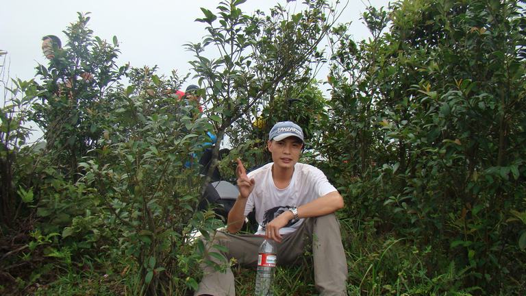 ���Ĳ���  ������������