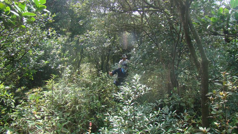 �� û����