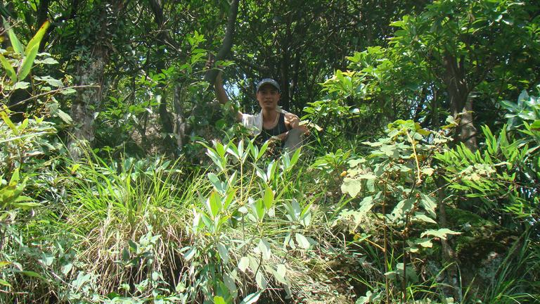 ����  ������������� �����Ǳ���