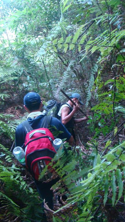 Ӧ���Ǿ仰  ·  ���˿���