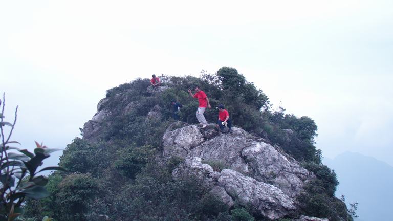 ��ְ�  ����׼�����˰�