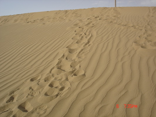 ˳�Ż�ȥ��·����������ɳĮ���档ɳĮ�ϵĽ�ӡ����ǰֻ�ܹ��ڵ����Ͽ�����������ȴ��������ӡ���ҵ������� ...