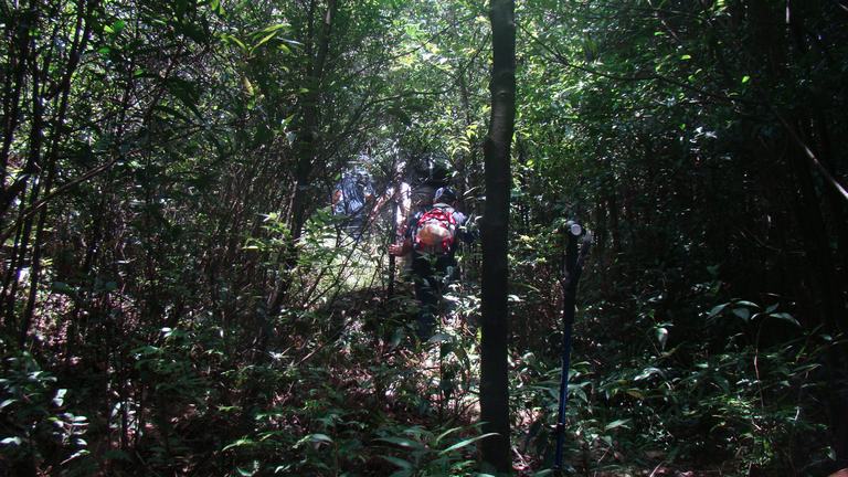 ����С��